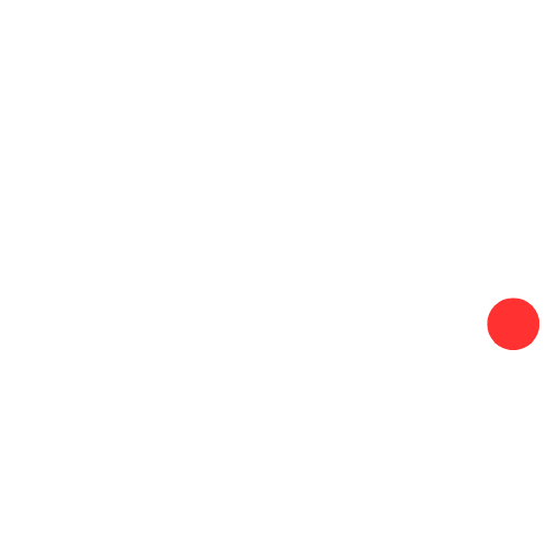 dude likes news logo white